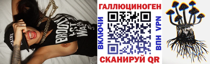 Галлюциногенные грибы Psilocybe  MEGA tor  Чухлома 